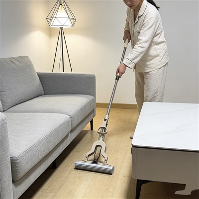 Telescopic Sponge Mop